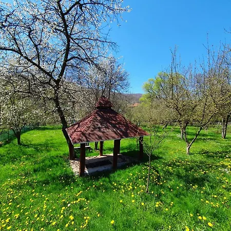 Srce 2 Sarajevo