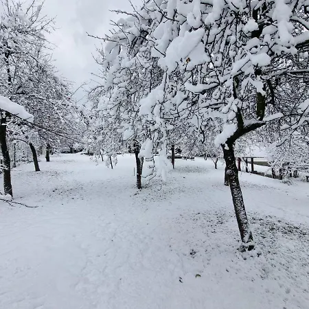 Srce 2 * Sarajevo